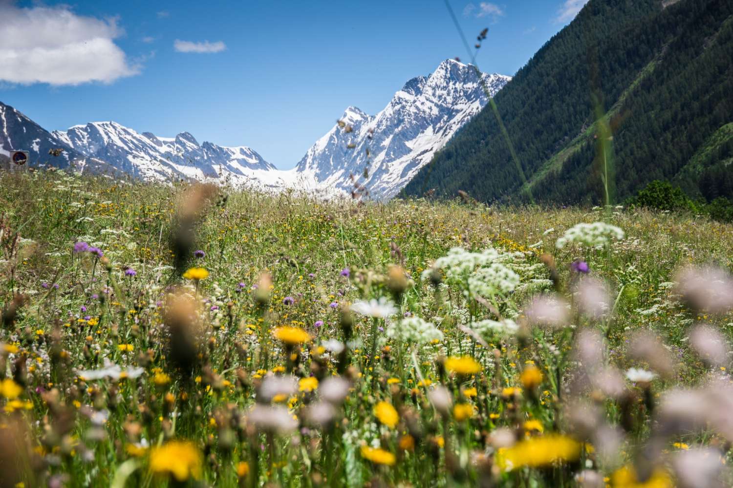 src85a66b3c299da2250e56798f10a2b416 par5510424470ba6419771e30f48123adb0 dat1543307436