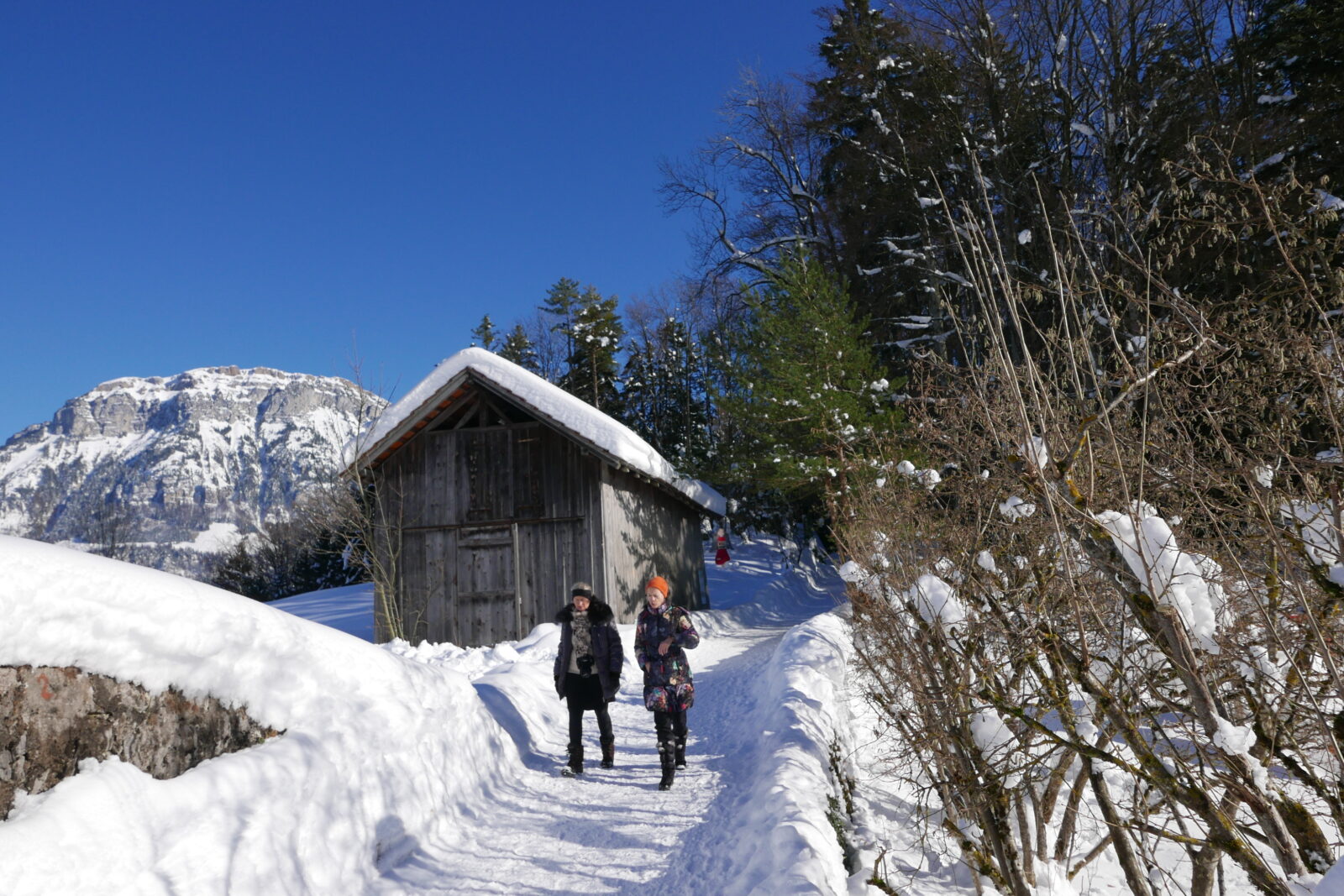 SBT Winterwanderweg Tannwald mit Froni